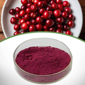 Cranberry extract_product