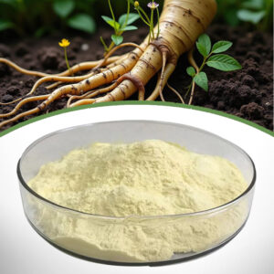 Ginseng Root Extract_product