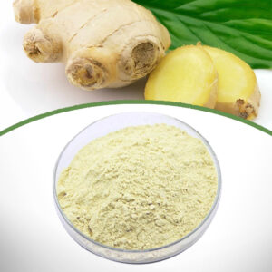 Ginger Extract