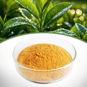 green tea extract_product