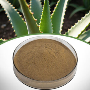 Aloe Extract