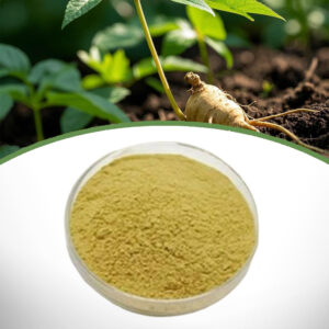 American Ginseng Extract