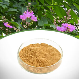 Banaba Extract