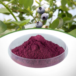 Bilberry Extract