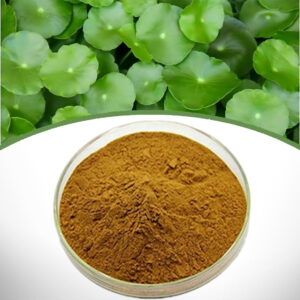 Centella Asiatica Extract