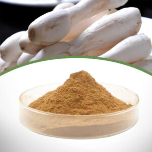 Coprinus Comatus Extract