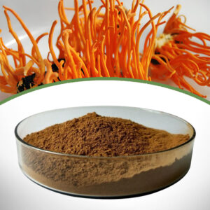 Cordyceps Militaris Extract
