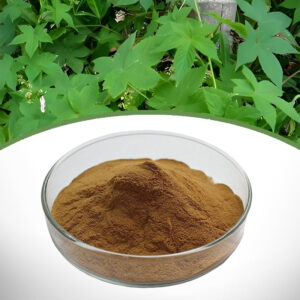 Devil's Claw Extract