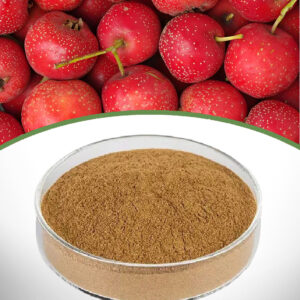 Hawthorn Extract