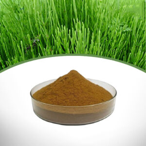 Horsetail Extract