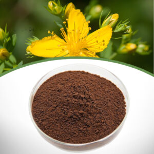 Hypericum perforatum extract