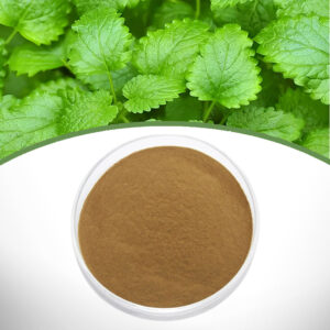 Lemon Balm Extract