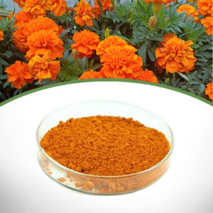 Marigold extract