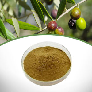 Olive Leaf Extract