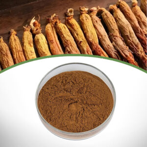 Red Ginseng Extract