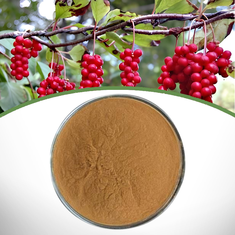 Schisandra Chinensis Extract