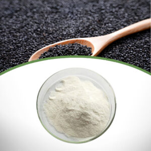 Sesame Extract