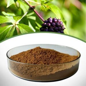 Siberian Ginseng Extract