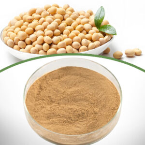 Soybean extract