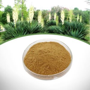 Yucca Extract