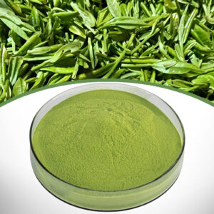 Ceremonial Matcha Powder