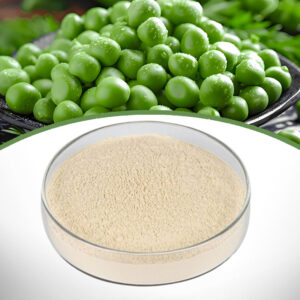 Pea Protein Powder