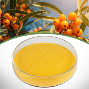 Sea Buckthorn Berry Powder