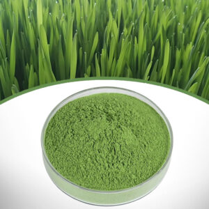 Wheat Grass Juice Powder